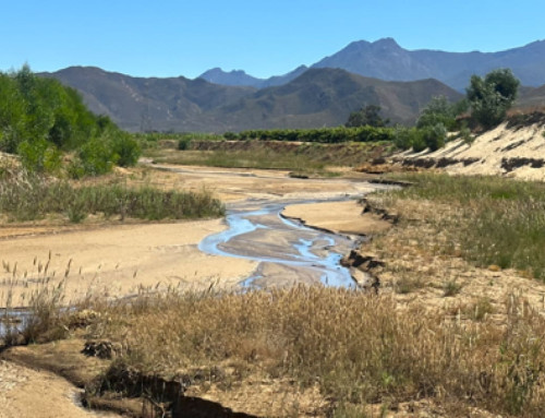 Request For The Adoption Of A River Maintenance Management Plan (MMP) For Watercourse Related Maintenance Activities In The Doring, Hoeks, Ratal, Klip And Kiesie Rivers And Their Tributaries, Worcester, Western Cape Province