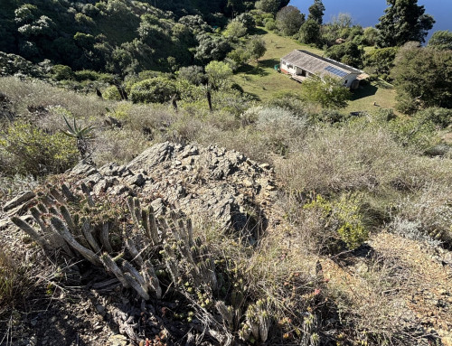 Proposed Access Road/Driveway to Erf 461, Malgas, Swellendam, Western Cape Province